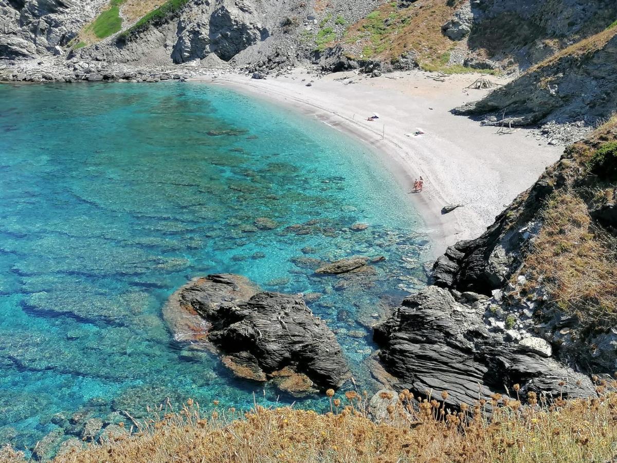 Le Palme Holidays パルマドゥラ エクステリア 写真